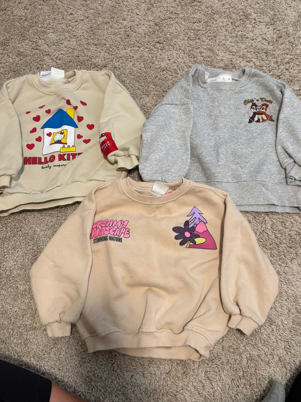 Zara toddler girl sweatshirts